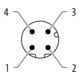 murrelektronik M12-Stecker 7000-14521-0000000