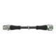 murrelektronik Stecker M12 gerade auf Buchse ger. 7000-40041-6350500