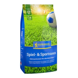 NEBELUNG Spiel- und Sportrasen 1 kg
