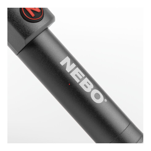 NEBO Big Larry 2