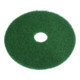 Nilfisk Eco Pad 17 inch, diameter 432 mm, groen-1