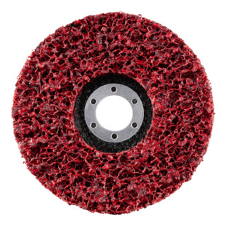 RHODIUS TOPline SVS HD polaire de nettoyage