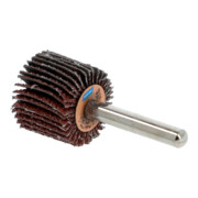 Norton Meule à lamelles avec tige R207Plus 25x20x6 P120