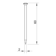 OBO Bettermann Aiguille en acier trempé 2x60 mm acier brut 362 60 BK-5