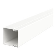 OBO Bettermann Canal de guidage de câbles avec perforation au fond LKM30030RW-1