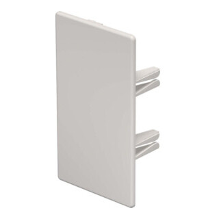 OBO Bettermann Embout de finition 60×110 mm WDK HE60110CW