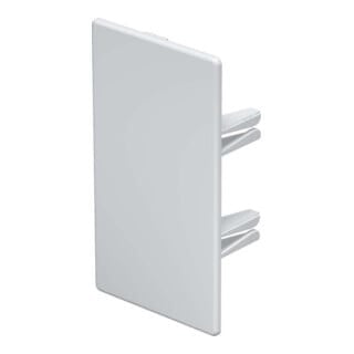 OBO Bettermann Embout de finition 60×110 mm WDK HE60110RW