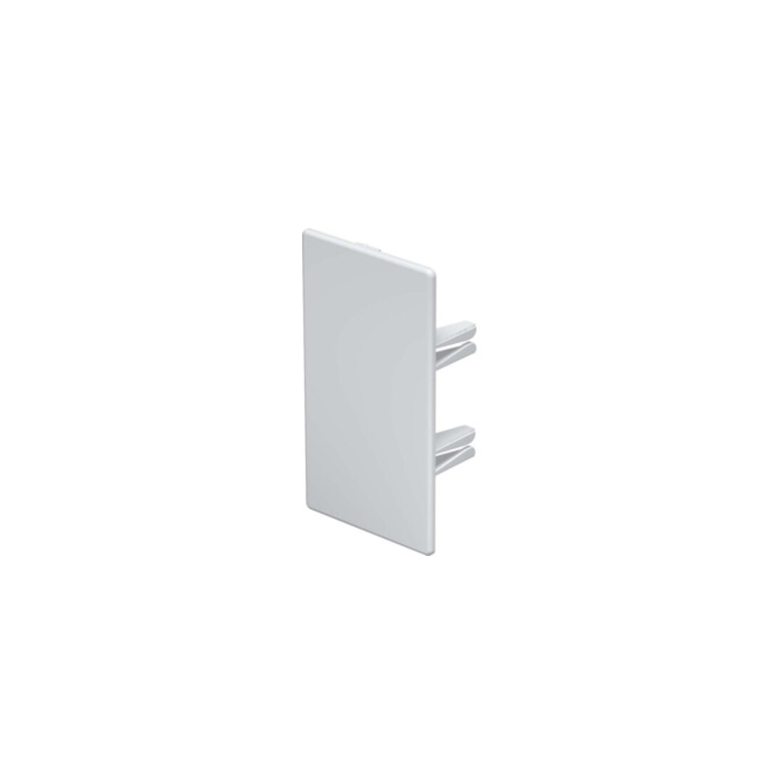 OBO Bettermann Embout de finition 60×110 mm WDKH-E60110RW