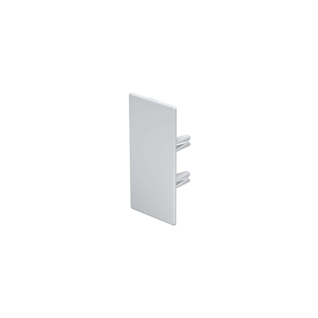 OBO Bettermann Embout de finition 60×130 mm WDK HE60130RW