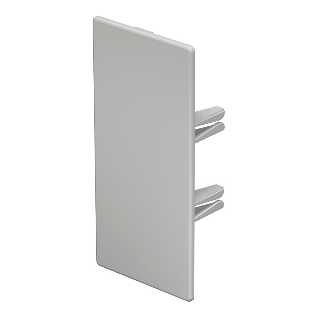 OBO Bettermann Embout de finition 60×130 mm WDK HE60130RW