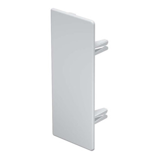 OBO Bettermann Embout de finition 60×150 mm WDK HE60150RW