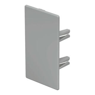 OBO Bettermann Embout de finition pour 60x110 WDK HE60110GR