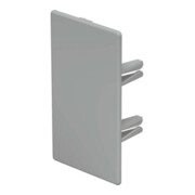 OBO Bettermann Embout de finition pour 60x110 WDK HE60110GR-1