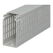 OBO Bettermann Goulotte de câblage Vertr RAL 7030 LKV N 10050-1