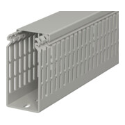 OBO Bettermann Goulotte de câblage Vertr RAL 7030 LKV N 10050-3
