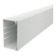 OBO Bettermann Goulotte murale et plafond 60 × 110 mm WDKH-60110RW