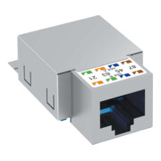 OBO Bettermann Module de connexion blindé Cat.6 ASM-C6 G-1