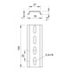OBO Bettermann Rail DIN perforé band.vz 2069 L 2M FS