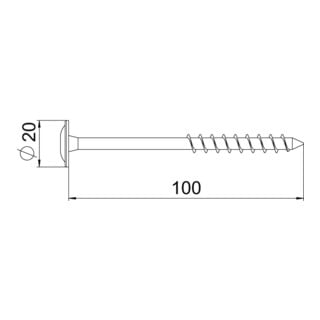 OBO Bettermann Tellerkopfschraube 8 x 100mm Edelstahl TKS A2