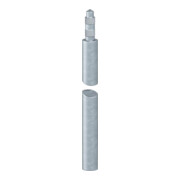 OBO Bettermann Verrou de mise à la terre standard 219 20 pcs FT/1,5m-1
