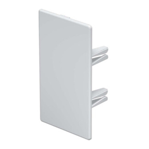 OBO Bettermann Vertr Endstück 60x110mm WDKH-E60110RW