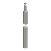 OBO Bettermann Vertr Staberder VA, 1.4401 219 20 BP V4A/1,5m-2