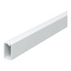 OBO Bettermann Vertr Wand-/Deckenkanal WDK10020RW