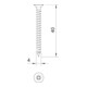 OBO Bettermann Vis à tête fraisée cruciforme Sprint 4,0x40 mm 4759