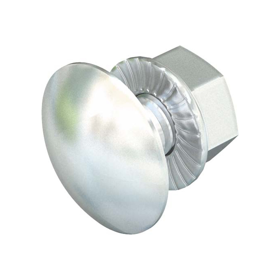 OBO Bettermann Vis à tête plate ronde avec écrou combiné FRSB 6x16 A2