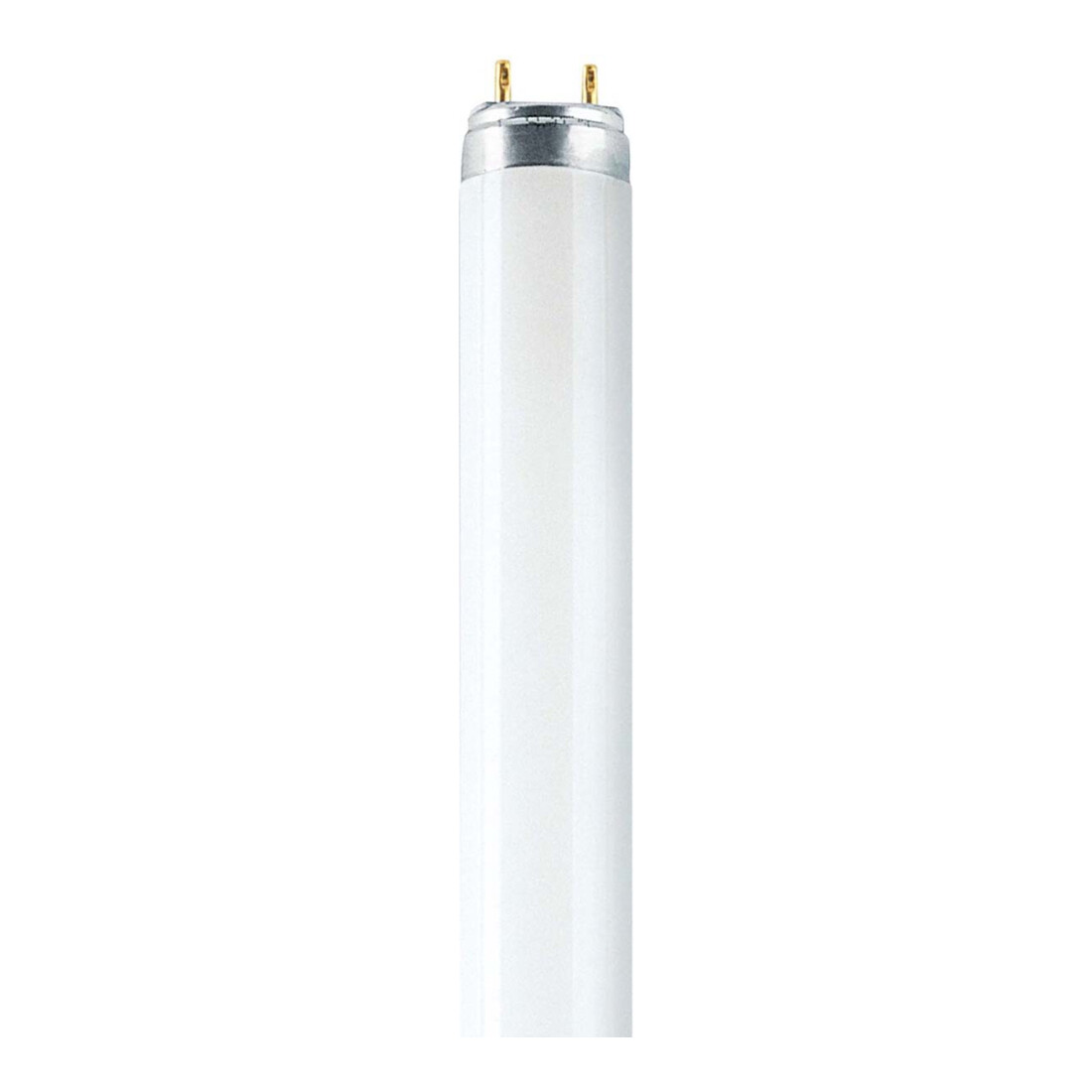 OSRAM LAMPE Leuchtstofflampe Daylight L 36/950 COLOR proof