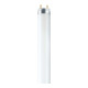 OSRAM LAMPE Lumilux-DeLuxe Lampe 36W cws L 36/954-1