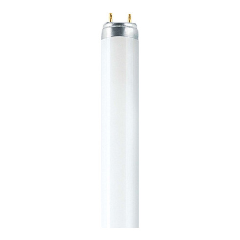 OSRAM LAMPE Lumilux-DeLuxe Lampe 36W nws L 36/940