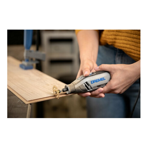 Outil multifonctions DREMEL® 4250