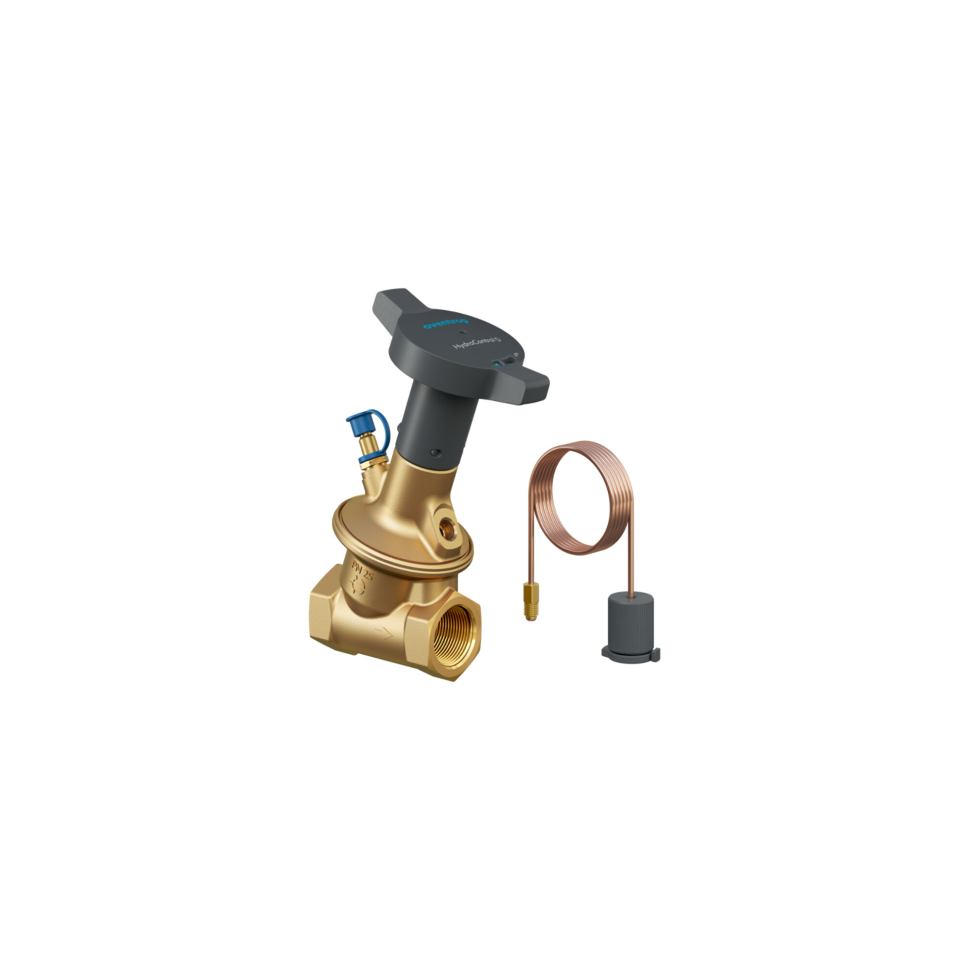 Oventrop Strangregulierventil Hydrocontrol D DN 50, Rp 2, PN 25, beids. IG, Messing