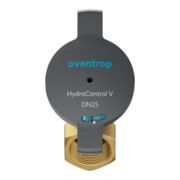 Oventrop Strangregulierventil Hydrocontrol V DN 40, PN 25, beids. IG, Messing-5