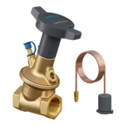 Oventrop Vanne de régulation Hydrocontrol D DN 25, Rp 1, PN 25, 2x FI, laiton