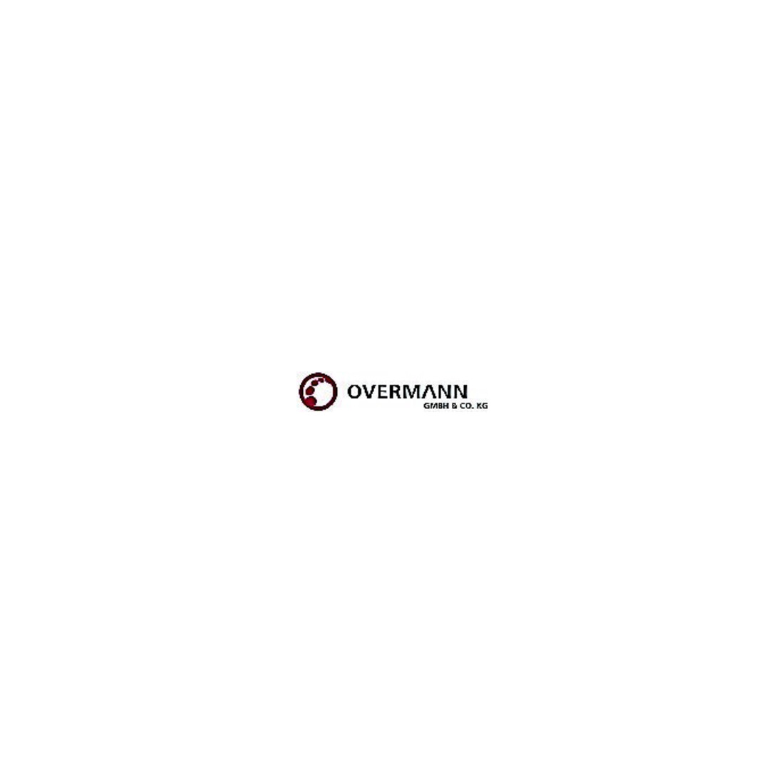 Overlen Cordeau de maçon PE 2,0 mm 100 m vert Overmann