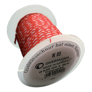 Overlen Cordeau de maçon PP 2,0mm 100m rouge Overmann