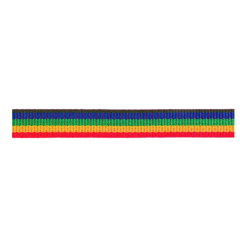 PÖSAMO Sangle multicolore 25,0 mm Ro.100 m (250x110)