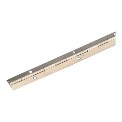 P&G Charnière à tige I 32 mm, L 1200 mm, acier inoxydable mat couleur acier inoxydable