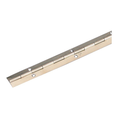 P&G Charnière à tige I 32 mm, L 900 mm acier laitoné