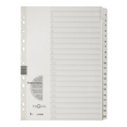 PAGNA Register 31006-08 1-20 DIN A4 20tlg ws-1