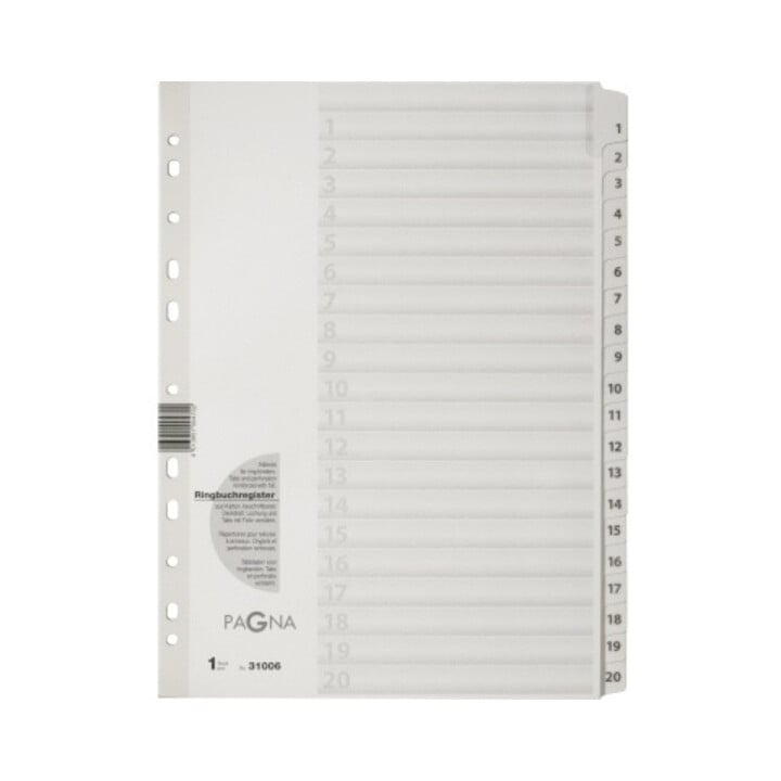 PAGNA Register 31006-08 1-20 DIN A4 20tlg ws