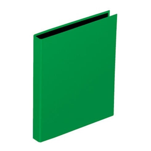 PAGNA Ringbuch Basic Colours 20605-05 DIN A4 4Ringe PP grün