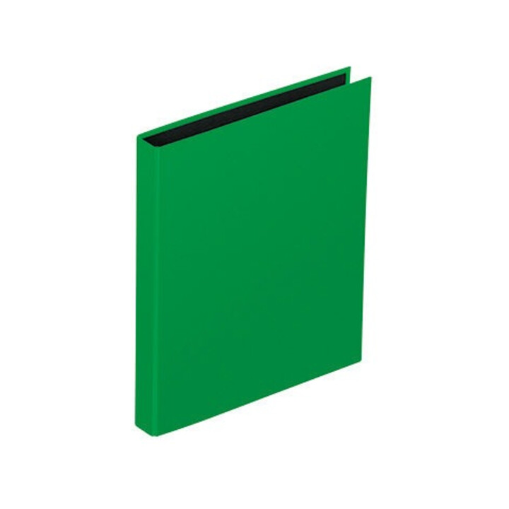 PAGNA Ringbuch Basic Colours 20606-05 DIN A4 2Ringe PP grün