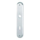 Paire de plaques longues Hoppe 273P F1/naturf. F1 BB 72mm-1