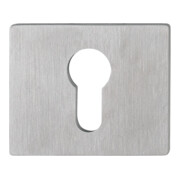 Paire de rosettes de clés E847NS VA F69 Epaisseur du blindage 2mm PZ rectangulaire.-1