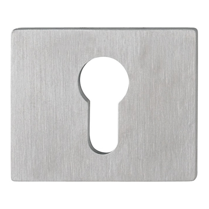 Paire de rosettes de clés E847NS VA F69 Epaisseur du blindage 2mm PZ rectangulaire.