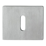 Paire de rosettes de clés E847NS VA VA F69 Epaisseur du blindage 2mm OB rectangulaire.