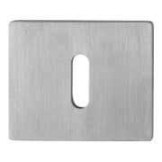 Paire de rosettes de clés E847NS VA VA F69 Epaisseur du blindage 2mm OB rectangulaire.